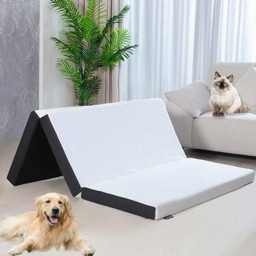 Best Folding Portable Twin Mattress