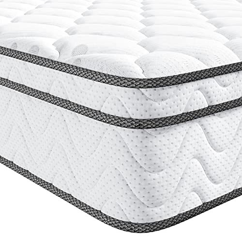 Best Twin Xl Mattress for Back Pain