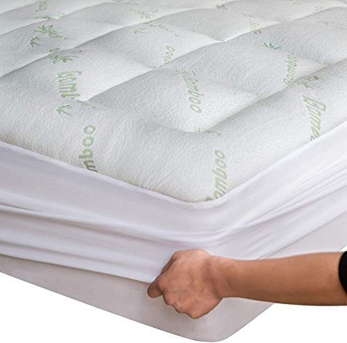 Best Twin Xl Mattress Topper for Back Pain