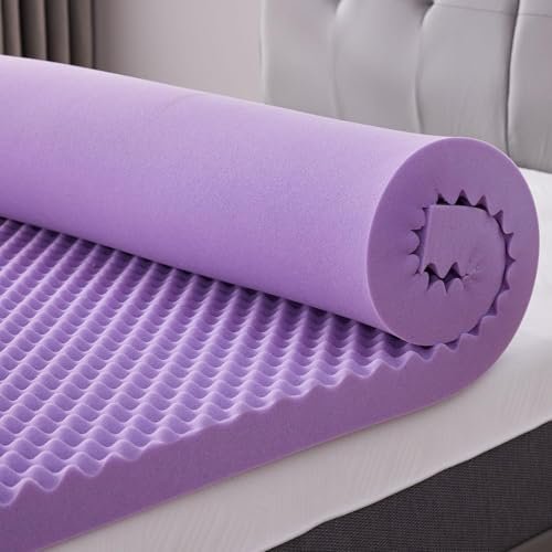 Best Egg Crate Mattress Topper Twin Xl